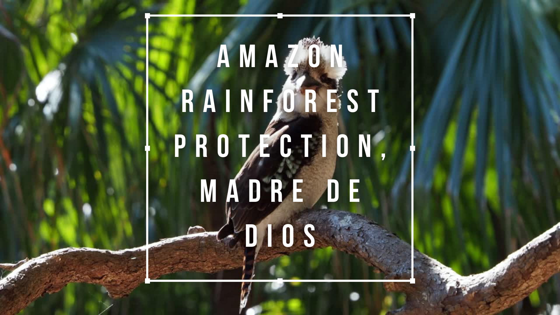 Image is not available