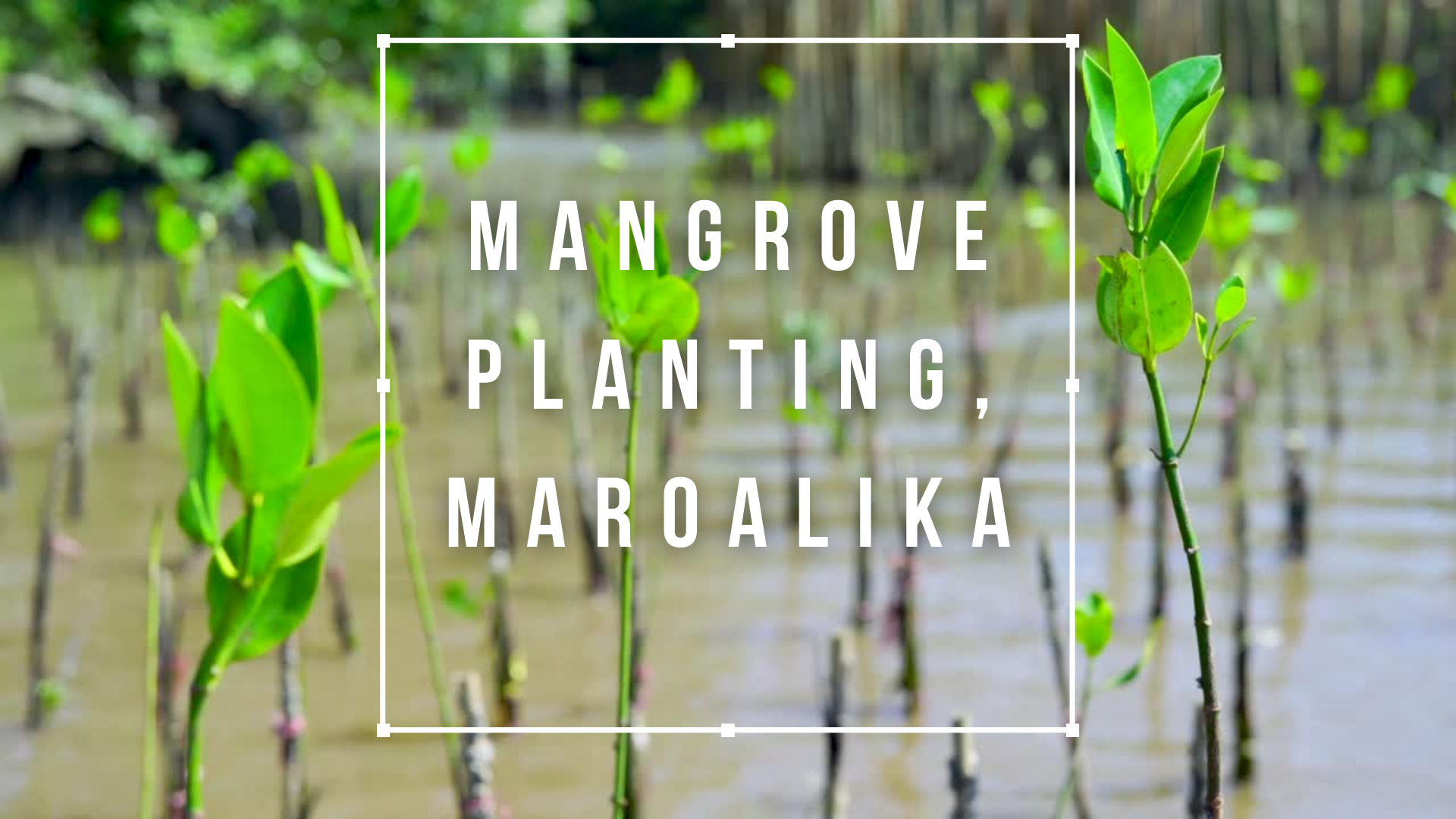 Image is not available