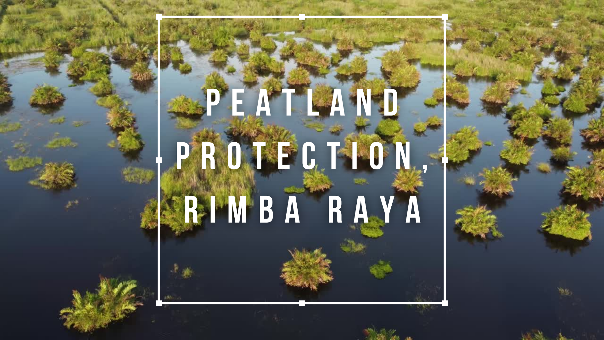 Image is not available